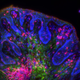 Illustration for article titled These spectacular images show why they call it the ‘OMG’ microscope